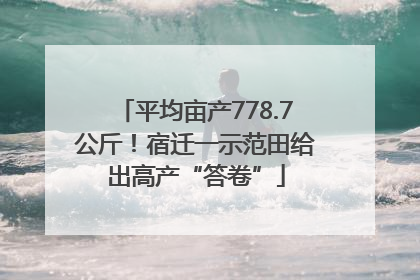 平均亩产778.7公斤！宿迁一示范田给出高产“答卷”