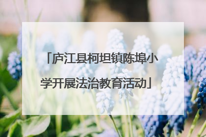 庐江县柯坦镇陈埠小学开展法治教育活动