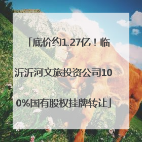 底价约1.27亿！临沂沂河文旅投资公司100%国有股权挂牌转让