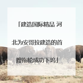 建造国际精品 河北为安哥拉建造的首艘拖轮成功下坞