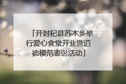 开封杞县苏木乡举行爱心食堂开业暨道德模范表彰活动
