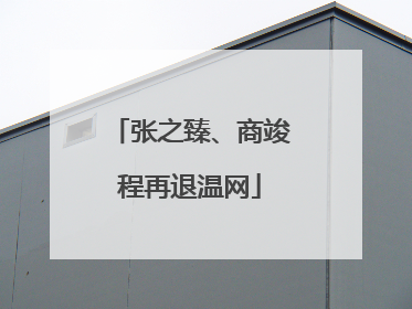张之臻、商竣程再退温网