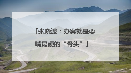 张晓波：办案就是要啃最硬的“骨头”