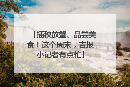 插秧放蟹、品尝美食！这个周末，吉报小记者有点忙