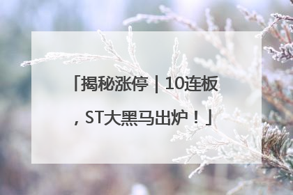 揭秘涨停｜10连板，ST大黑马出炉！
