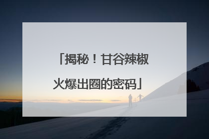 揭秘！甘谷辣椒火爆出圈的密码