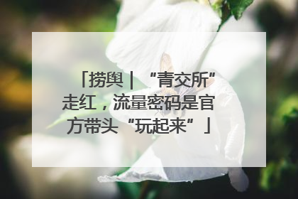 捞舆｜“青交所”走红，流量密码是官方带头“玩起来”
