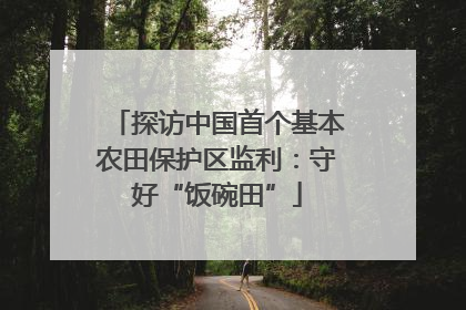 探访中国首个基本农田保护区监利：守好“饭碗田”