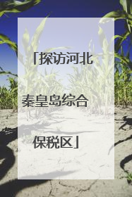 探访河北秦皇岛综合保税区