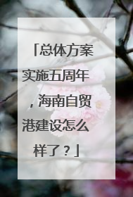 总体方案实施五周年，海南自贸港建设怎么样了？