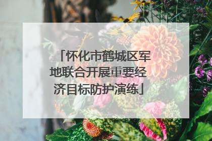 怀化市鹤城区军地联合开展重要经济目标防护演练