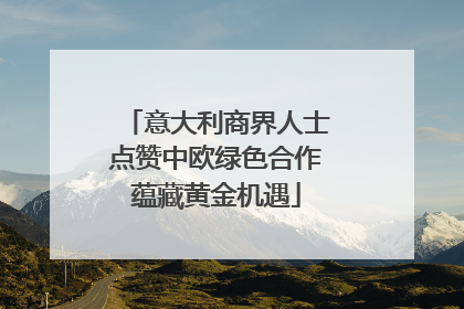 意大利商界人士点赞中欧绿色合作蕴藏黄金机遇