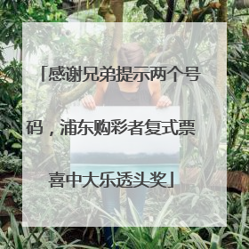 感谢兄弟提示两个号码，浦东购彩者复式票喜中大乐透头奖