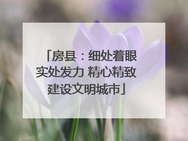 房县：细处着眼 实处发力 精心精致建设文明城市