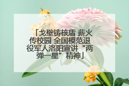 戈壁铸核盾 薪火传校园 全国模范退役军人洛阳宣讲“两弹一星”精神