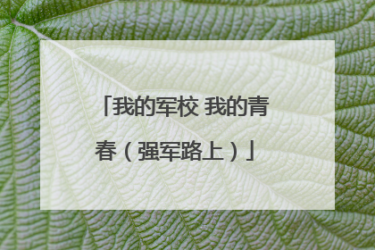 我的军校 我的青春（强军路上）