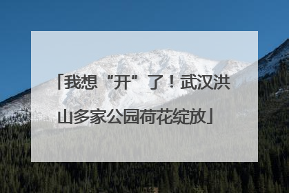我想“开”了！武汉洪山多家公园荷花绽放