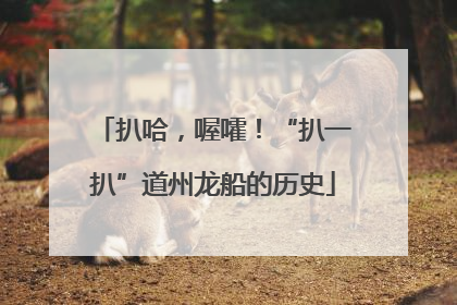 扒哈，喔嚯！“扒一扒”道州龙船的历史