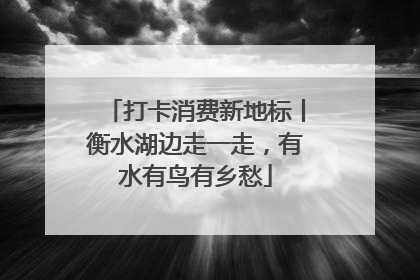 打卡消费新地标丨衡水湖边走一走，有水有鸟有乡愁