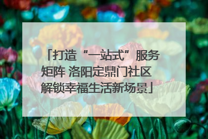 打造“一站式”服务矩阵 洛阳定鼎门社区解锁幸福生活新场景