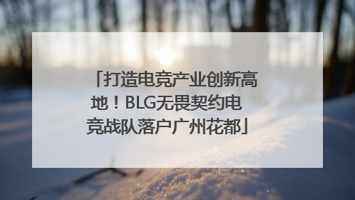 打造电竞产业创新高地！BLG无畏契约电竞战队落户广州花都