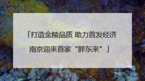 打造金陵品质 助力首发经济 南京迎来首家“胖东来”