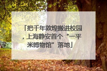 把千年敦煌搬进校园，上海静安首个“一平米博物馆”落地