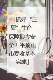 抓好“三夏”生产 保障粮食安全！平顶山市麦收基本完成