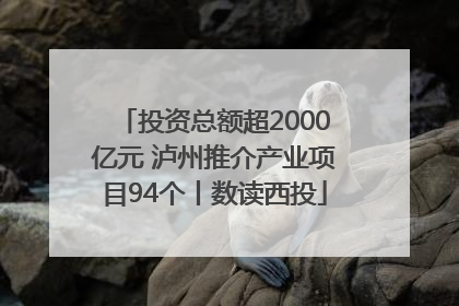 投资总额超2000亿元 泸州推介产业项目94个丨数读西投