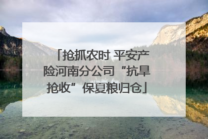 抢抓农时 平安产险河南分公司“抗旱抢收”保夏粮归仓
