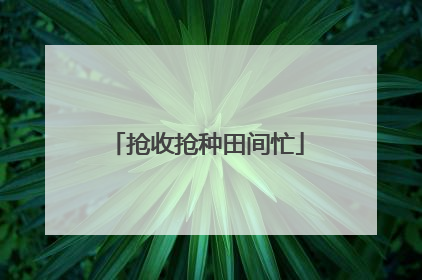 抢收抢种田间忙