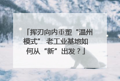 挥刃向内重塑“温州模式” 老工业基地如何从“新”出发？