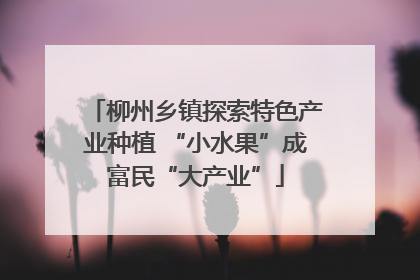 柳州乡镇探索特色产业种植 “小水果”成富民“大产业”
