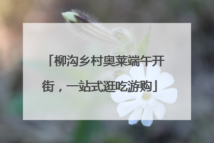 柳沟乡村奥莱端午开街，一站式逛吃游购