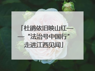 杜鹃依旧映山红——“法治号中国行”走进江西见闻