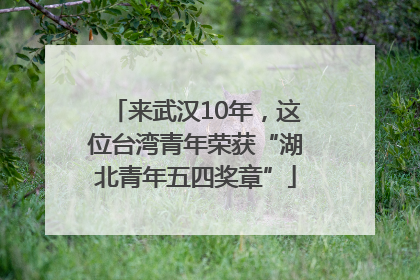 来武汉10年，这位台湾青年荣获“湖北青年五四奖章”
