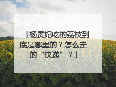 杨贵妃吃的荔枝到底是哪里的？怎么走的“快递”？