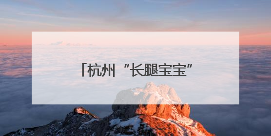 杭州“长腿宝宝”过节啦！世界长颈鹿日邂逅新生幼崽