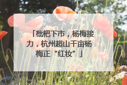 枇杷下市，杨梅接力，杭州超山千亩杨梅正“红妆”