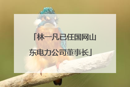 林一凡已任国网山东电力公司董事长