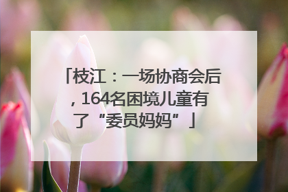 枝江：一场协商会后，164名困境儿童有了“委员妈妈”