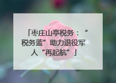 枣庄山亭税务：“税务蓝”助力退役军人“再起航”