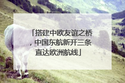 搭建中欧友谊之桥，中国东航新开三条直达欧洲航线