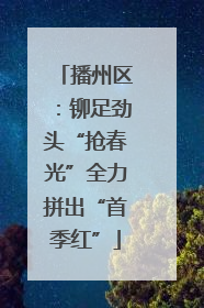 播州区：铆足劲头“抢春光”全力拼出“首季红”