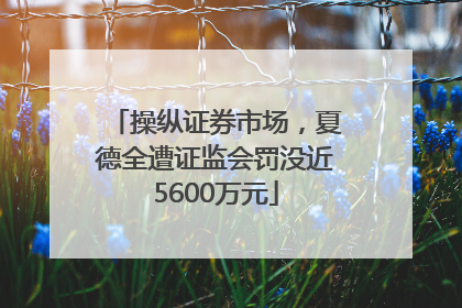 操纵证券市场，夏德全遭证监会罚没近5600万元