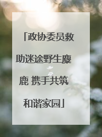 政协委员救助迷途野生麋鹿 携手共筑和谐家园
