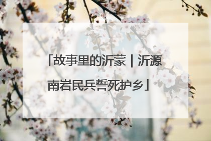 故事里的沂蒙｜沂源南岩民兵誓死护乡