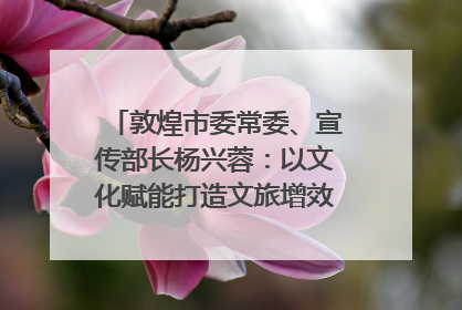 敦煌市委常委、宣传部长杨兴蓉：以文化赋能打造文旅增效新引擎｜第七届全国县域旅游研究成果发布系列活动