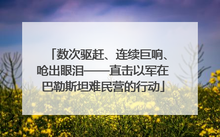 数次驱赶、连续巨响、呛出眼泪——直击以军在巴勒斯坦难民营的行动