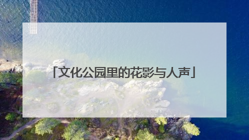文化公园里的花影与人声